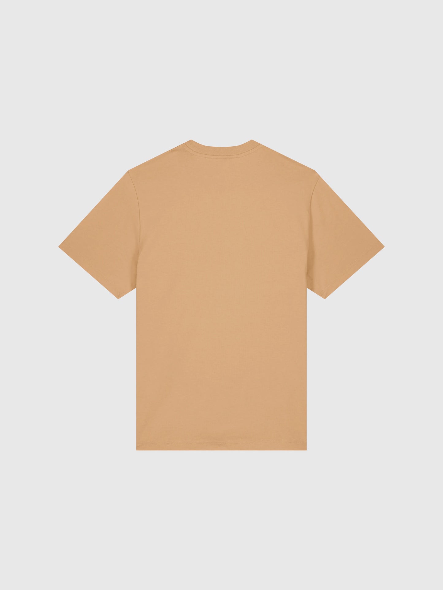 SS Ordinary Dream T-Shirt