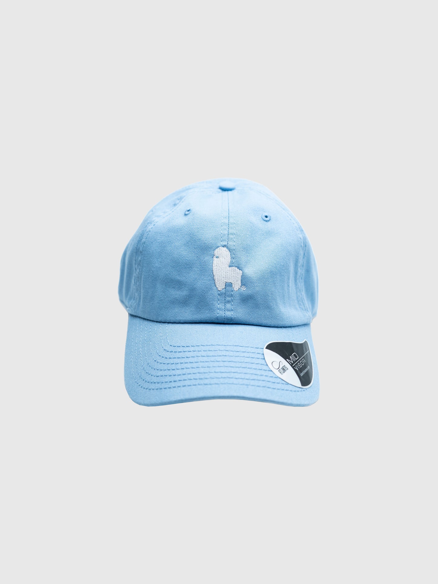 Logo Dad Hat