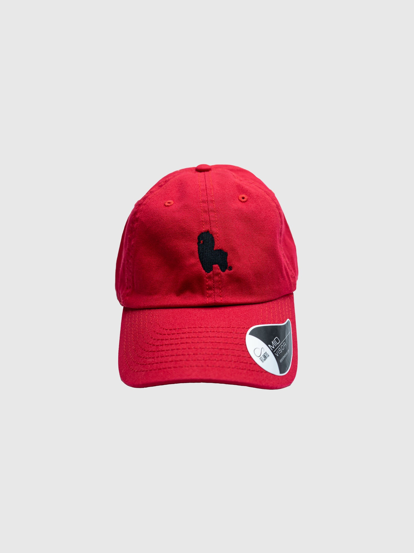 Logo Dad Hat