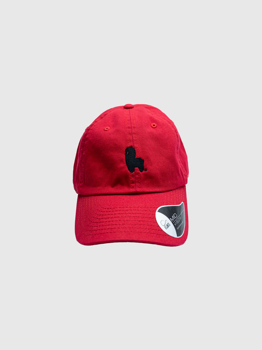 Logo Dad Hat